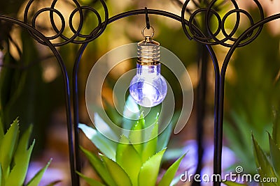 The decorative light in the garden. Lost in green grass new mini powerful flashlight. Small lamp Stock Photo