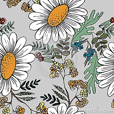 Decorative meadow flowers. Vector illustration. Vector Illustration