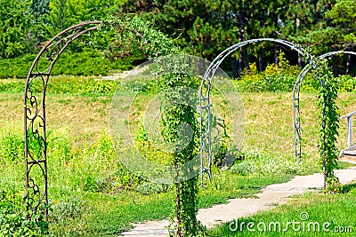 Decorative metal arch for climbing plants Stock Photo