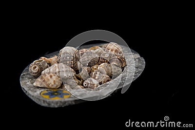 Decorative metal tray with seashells Stock Photo
