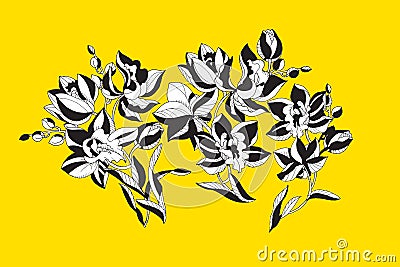 Decorative orchid flowers design element. Vector Illustration