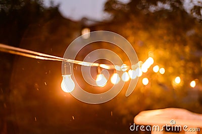 Decorative outdoor string lights hanging on the tree in the back yard at night time close, midges buzzing around on a summer Stock Photo