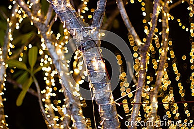 Decorative outdoor string lights hanging on tree in the garden at night time festivals season Stock Photo