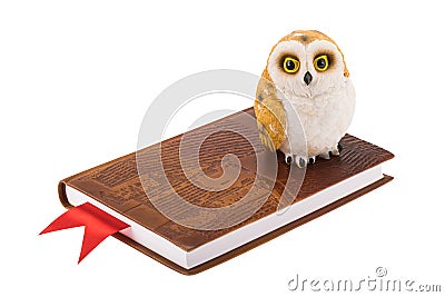 Decorative owl standing on a leather notebook with red bookmark, symbol of wisdom Stock Photo