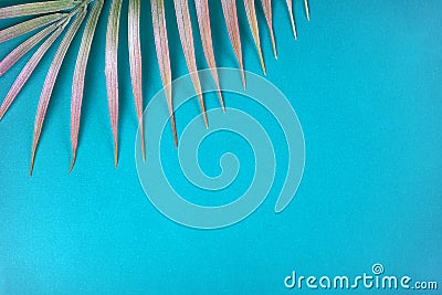 Decorative palm branch on turquoise background. Summer, tropical concept. Stock Photo
