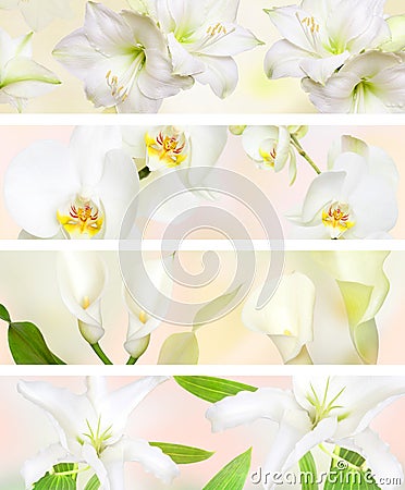 Decorative Pastel color flower banner Stock Photo