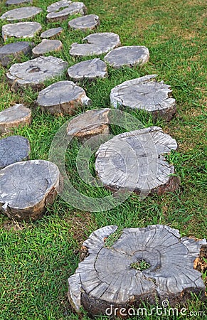 Decorative path across the lawn composed of stumps Stock Photo