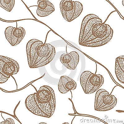 Decorative physalis winter cherry pattern. Vector seamless background. Ornamental physalis line art hand drawing. Vector Illustration