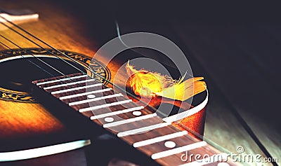 Decorative plumelet on the strings of a guitar Stock Photo