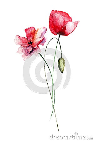 Decorative Poppy flowers Cartoon Illustration