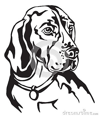 Decorative portrait of Beagle vector illustration Vector Illustration