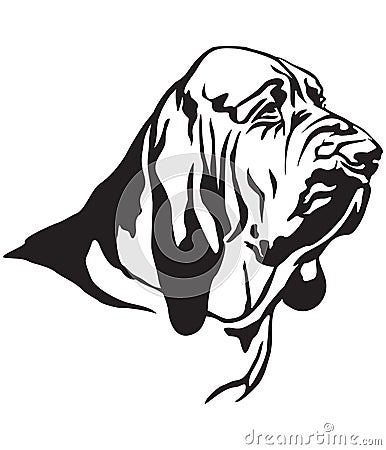 Decorative portrait of Bloodhound vector illustration Vector Illustration