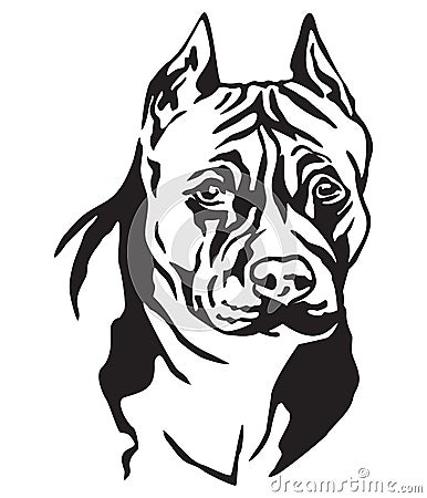 Decorative portrait of Dog American Staffordshire Terrier vector Vector Illustration