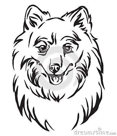 Decorative portrait of Dog Japanese Spitz vector illustration Vector Illustration