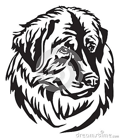 Decorative portrait of Dog Leonberger vector illustration Vector Illustration