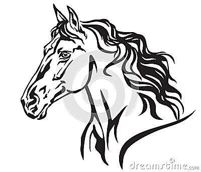 Decorative portrait of horse vector illustration 8 Vector Illustration