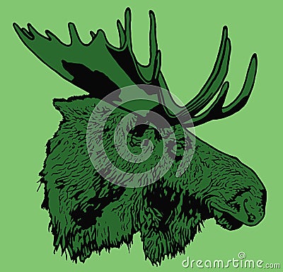 Portrait of moose Stock Photo
