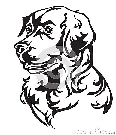 Decorative portrait of Dog Golden Retriever vector illustration Vector Illustration