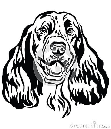 Decorative portrait of Springer Spaniel Dog vector illustration Vector Illustration