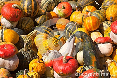 Decorative pumpkin Stock Photo