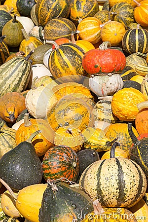 Decorative pumpkin Stock Photo