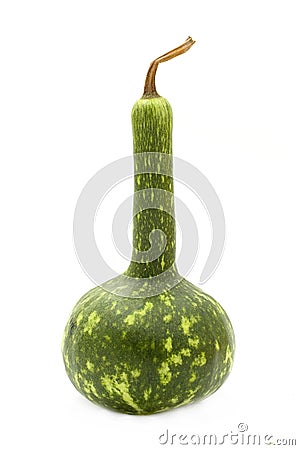 Decorative pumpkin Stock Photo