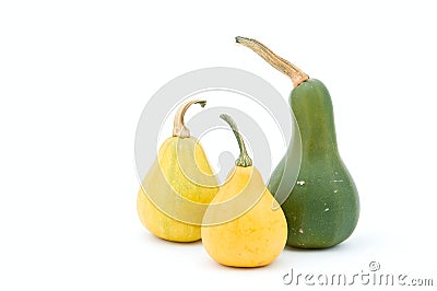 Decorative pumpkin Stock Photo