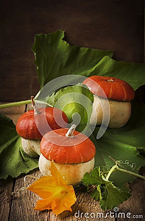 Decorative pumpkin, autumn still life, vintage wooden table, selective focus Stock Photo