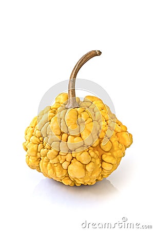 Decorative pumpkin Stock Photo