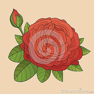 Decorative rose with bud Cartoon Illustration