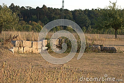 Decorative rough-hewn drystone blocks stacked on one another to create a retaining wall with grass growing through the cracks betw Stock Photo