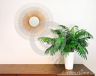 Decorative round mirror and parlor palm plant on a dresser Stock Photo