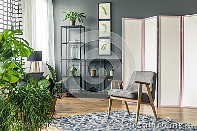 A decorative screen next to the black shelves and behind a grey chair standing on patterned rug with plants around a botanic room Stock Photo