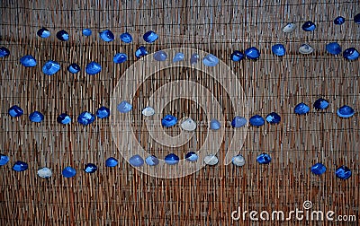 Decorative seashells Stock Photo
