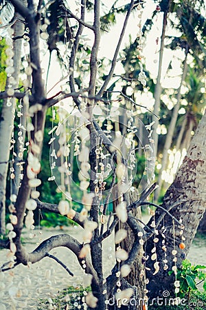 Decorative shells and corals hanging from the tree brunches on the beach Stock Photo