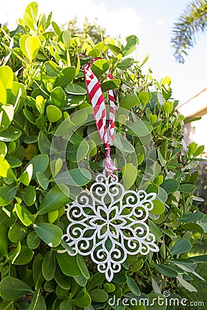 Decorative Snowflake on Green Hedge Stock Photo