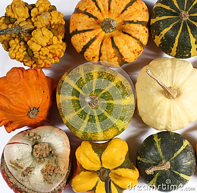 Decorative Squash, cucurbitaceous, pumpkin, on white background Stock Photo