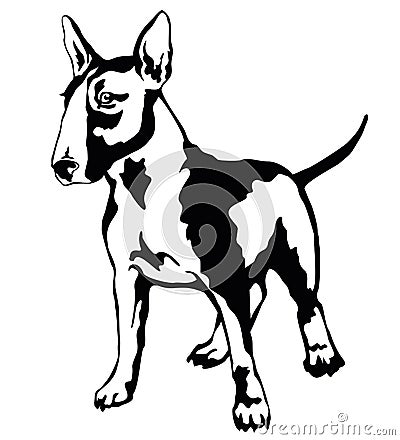 Decorative standing portrait of dog Bull terrier, vector illustration Vector Illustration