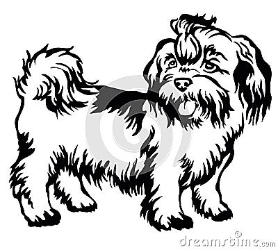 Decorative standing portrait of dog shih-tzu, vector Vector Illustration