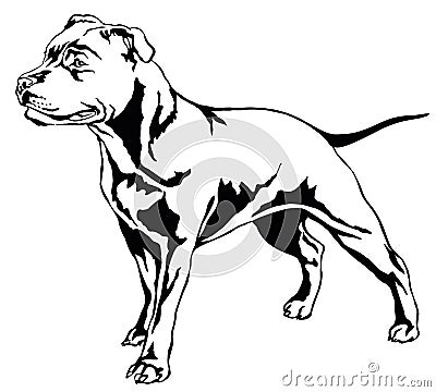 Decorative standing portrait of dog Staffordshire Bull Terrier v Vector Illustration