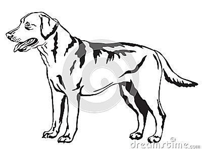 Decorative standing portrait of Labrador Retriever vector Vector Illustration