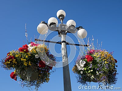 Decorative street lights with flower baskets Victoria Canada British Columbia Stock Photo