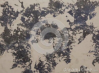 decorative texture, stone effect, cement material gray and white Stock Photo