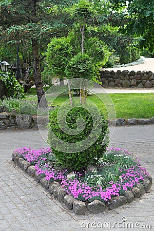 Decorative topiary bush with flower bed Stock Photo