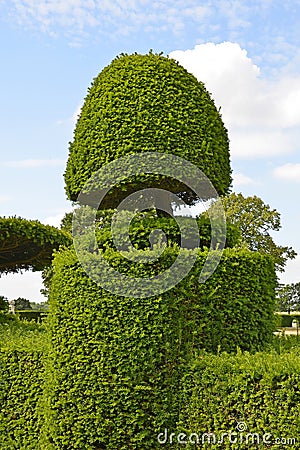 Decorative Topiary Tree Stock Photo
