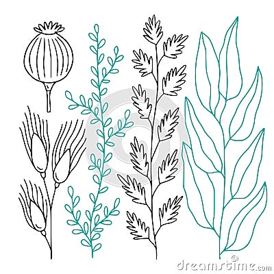 Decorative twigs pack. Nature printable decorations. Leaves outline elements. Decorative floral design Vector Illustration