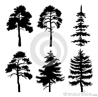 Decorative vegetation of a city park or garden, coniferous and deciduous tall trees forest plants Vector Illustration