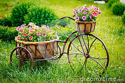 Decorative Vintage Model Old Bicycle Equipped Stock Photo