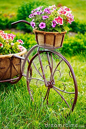 Decorative Vintage Model Old Bicycle Equipped Stock Photo