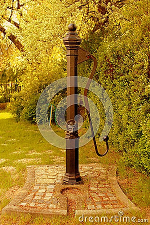 Decorative water pump surrounded by greenery. Stock Photo
